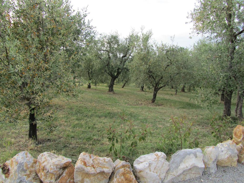 Agriturismo Borghetto Il Montino Rapolano Terme Εξωτερικό φωτογραφία