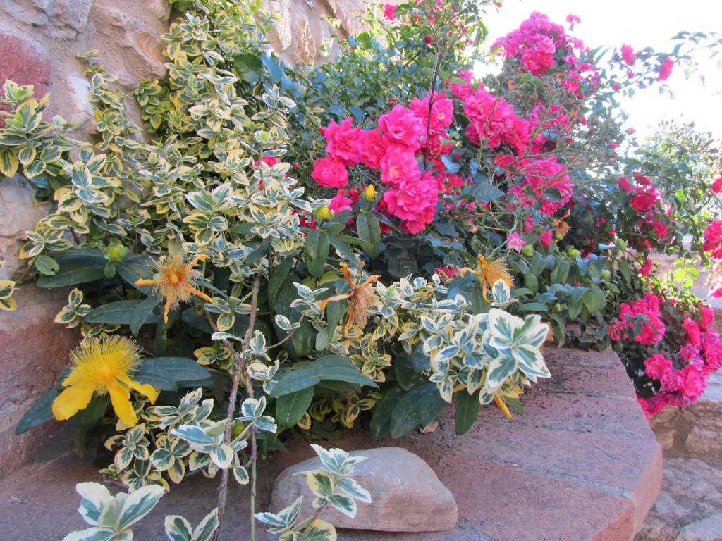 Agriturismo Borghetto Il Montino Rapolano Terme Εξωτερικό φωτογραφία