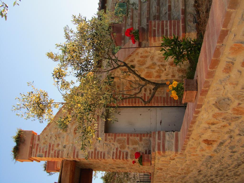 Agriturismo Borghetto Il Montino Rapolano Terme Εξωτερικό φωτογραφία