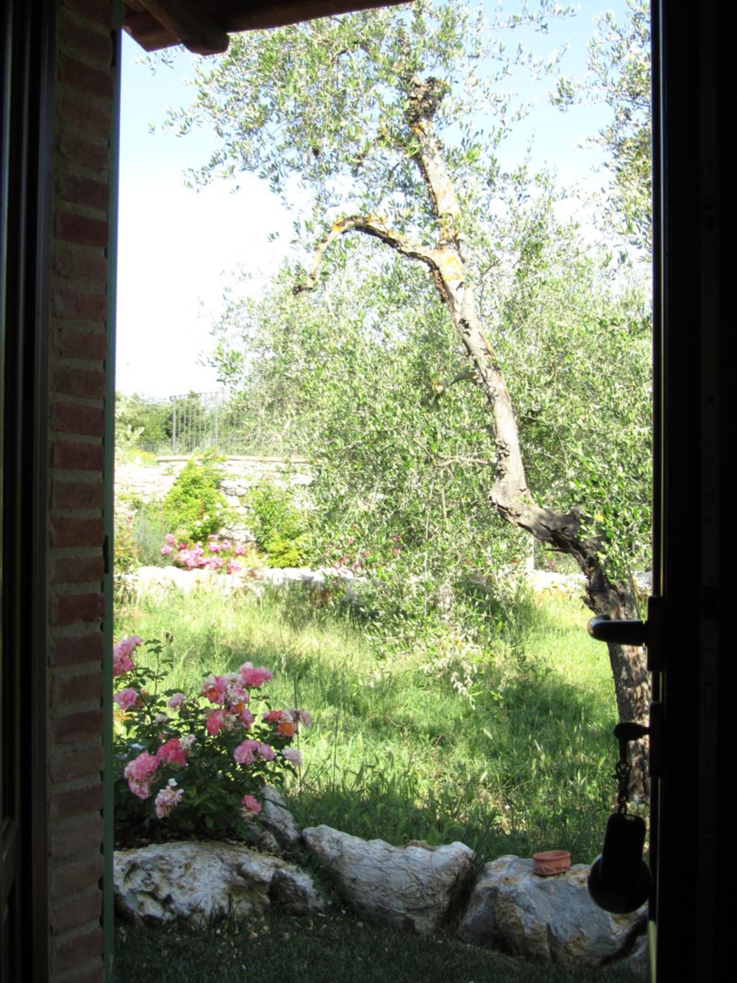 Agriturismo Borghetto Il Montino Rapolano Terme Εξωτερικό φωτογραφία
