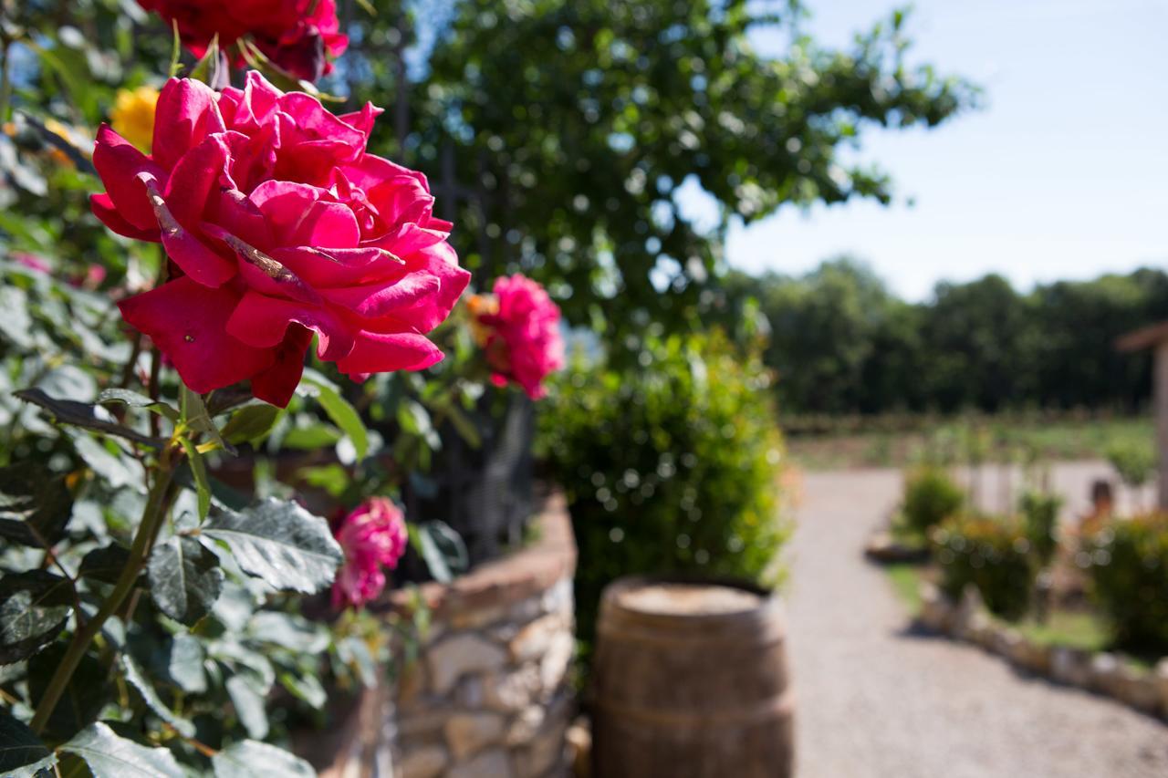 Agriturismo Borghetto Il Montino Rapolano Terme Εξωτερικό φωτογραφία