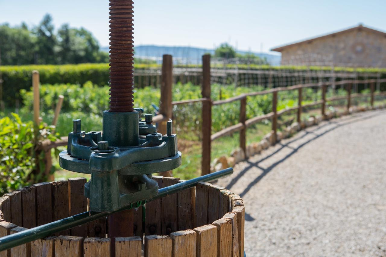 Agriturismo Borghetto Il Montino Rapolano Terme Εξωτερικό φωτογραφία