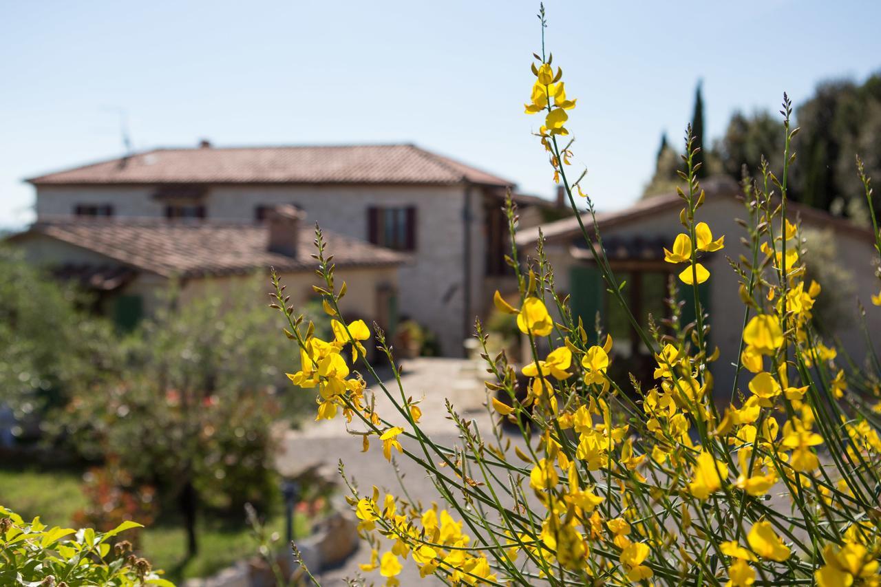 Agriturismo Borghetto Il Montino Rapolano Terme Εξωτερικό φωτογραφία